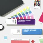 Pantone Color Bridge and Formula Guide